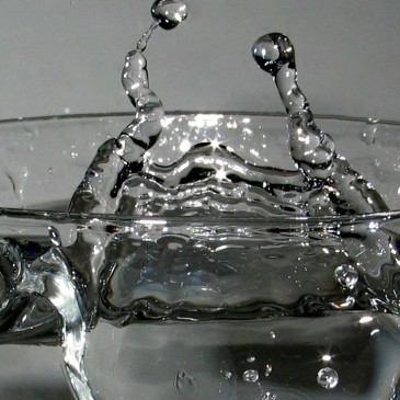 Začněte s detoxikací těla již před Vánoci