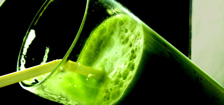 Jak na povánoční detoxikaci organismu