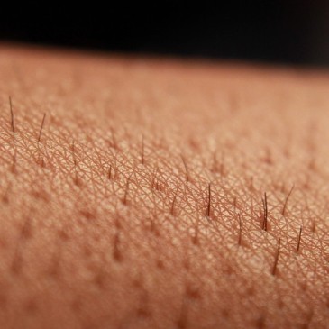 Trpíte na opakované ekzémy a záněty kůže? Podpořte činnost lymfy