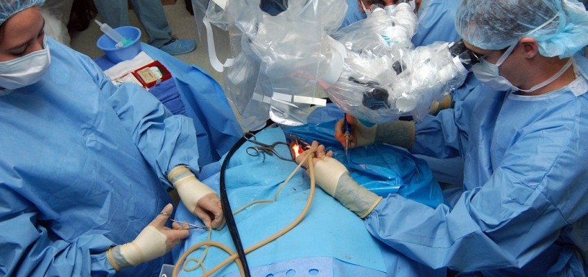 Plánované operace se provádějí hlavně v průběhu podzimu