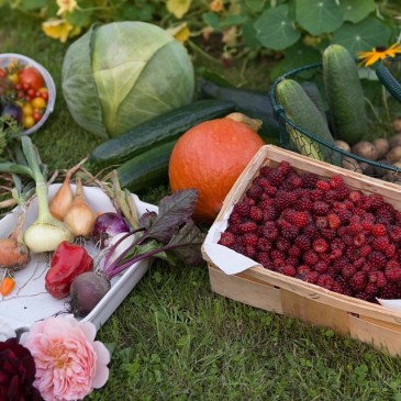 Podzimní zahrada nabízí bohatou úrodu. Tipy, jak ji zpracovat na zimu.