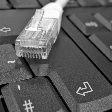 Tisková zpráva: DNS kupuje divizi Microsoft od společnosti Servodata