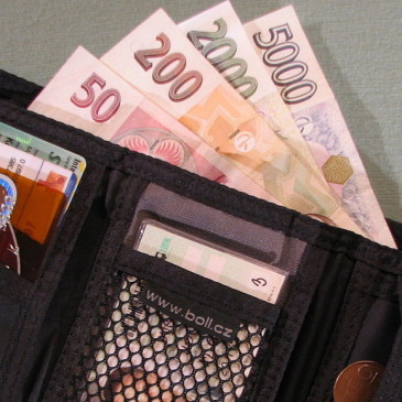 Rok 2017 ve znamení finanční stabilizace rodinného rozpočtu