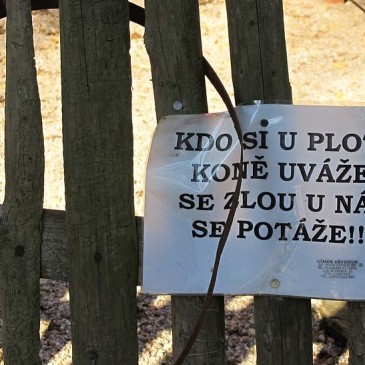 Konec školního roku je tu: Kam vyrazit s dětmi za odměnu?