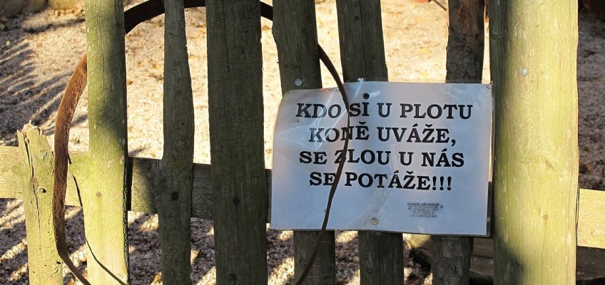 Konec školního roku je tu: Kam vyrazit s dětmi za odměnu?