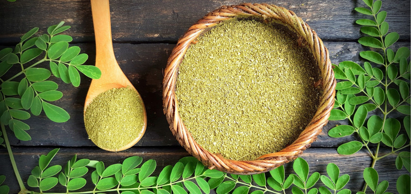 Moringa olejodárná – strom života i pramen mládí