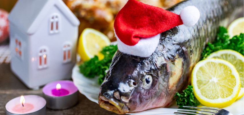 Nezřízené vánoční hodování zadělává na kila navíc i nebezpečný cholesterol