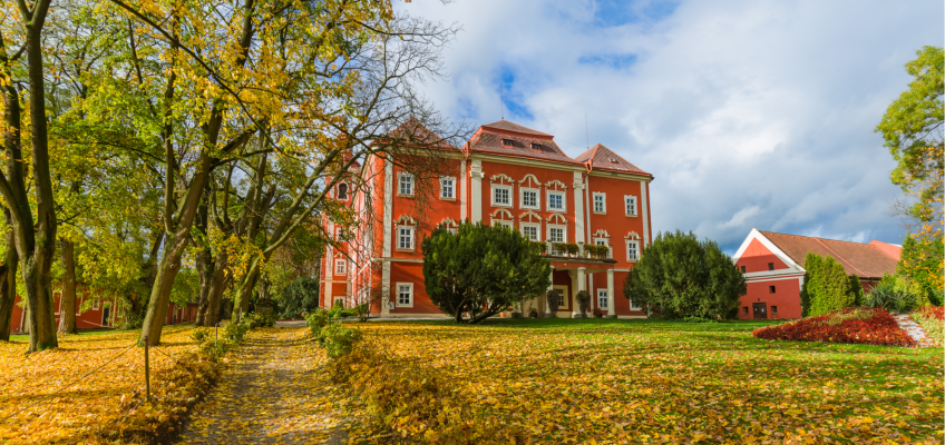 Unikněte sychravému počasí a užijte si originální program v Dětenicích