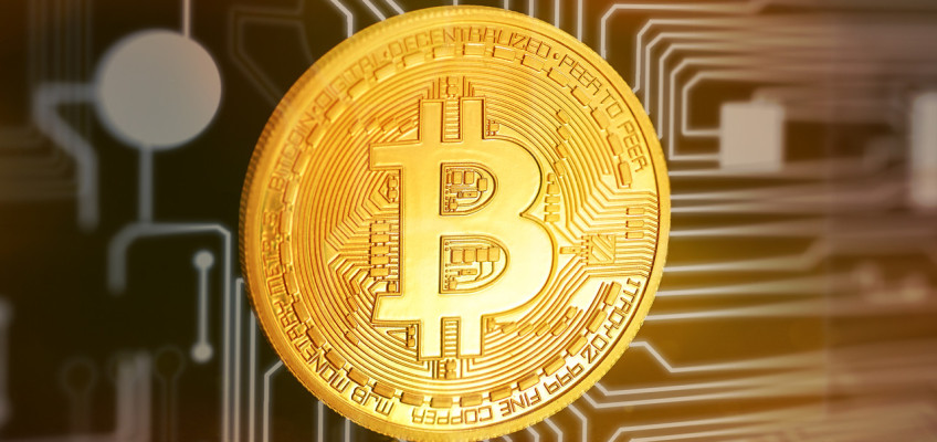 Bitcoin se stává novým standardem. Jak si vedou ostatní kryptoměny?