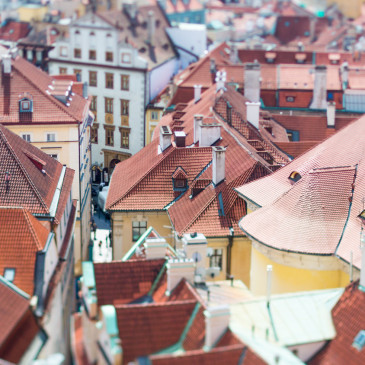 Hledání solidního nájemníka je hlavně o prověřování. Co když ale šlápnete vedle?
