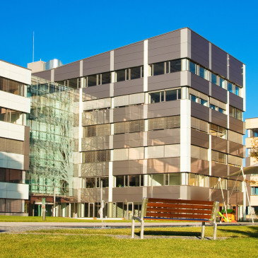Základní investorská matematika. Jaká strategie se vyplatí pro nemovitosti?