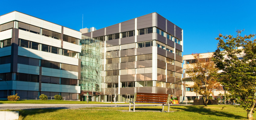 Základní investorská matematika. Jaká strategie se vyplatí pro nemovitosti?