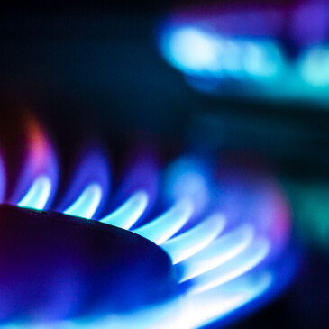 Hledáte nového dodavatele energií? S Lama Energy to zvládnete i online