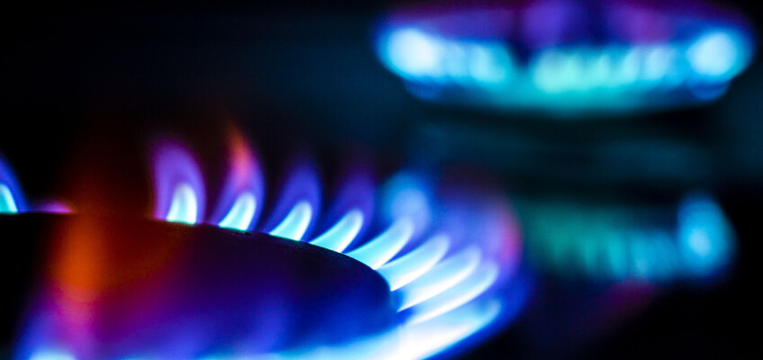 Hledáte nového dodavatele energií? S Lama Energy to zvládnete i online
