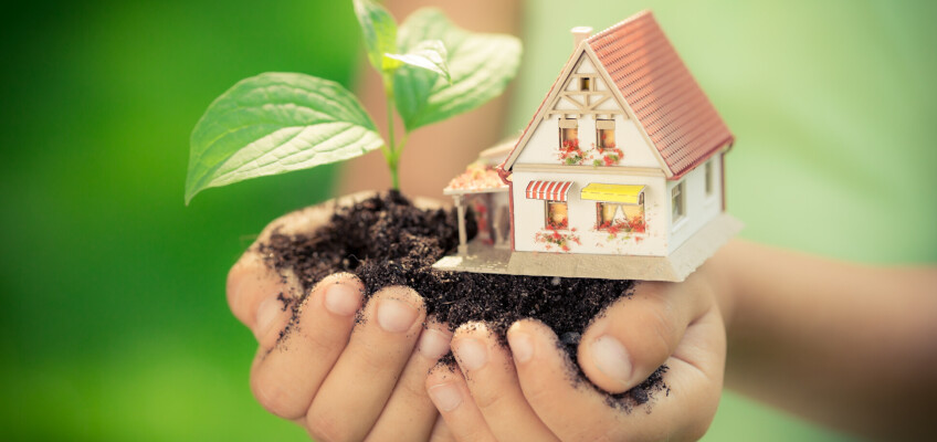 4 tipy pro zelenější domácnost