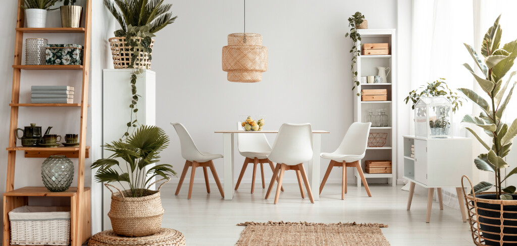 Plants on shelves and rug in white apartment interior with chairs at dining table under lamp. Real photo