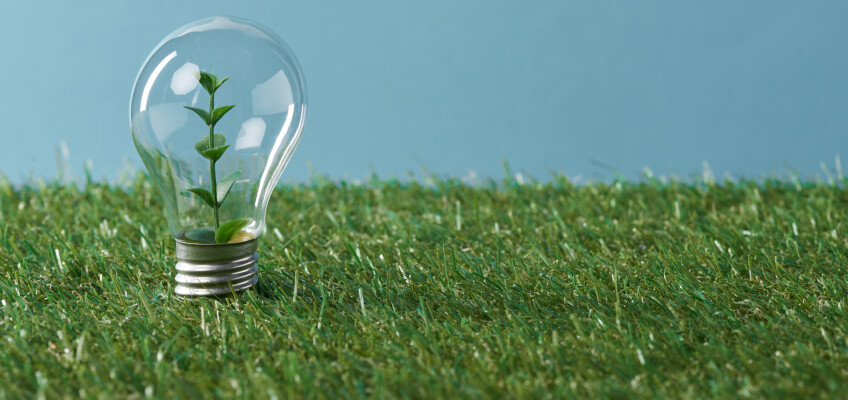 Zelená energie získává na popularitě, i kvůli vysokým cenám za plyn a elektřinu