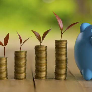 Byt na investici je populární metodou zhodnocení vlastních prostředků