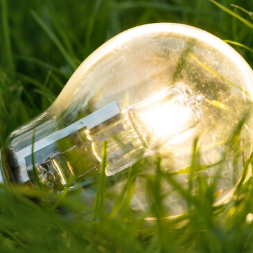 Jak dodavatelé energií reagují na situaci na trhu? Bez závazku a fixace na měsíc.