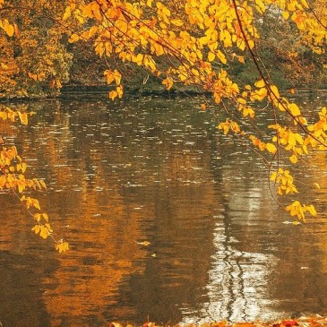 Pomalu se blížící podzim je ideální dobou na detoxikaci organismu