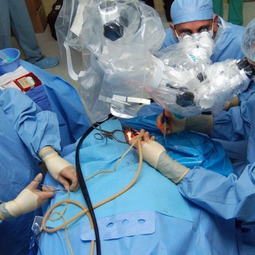 Plánované operace se provádějí hlavně v průběhu podzimu