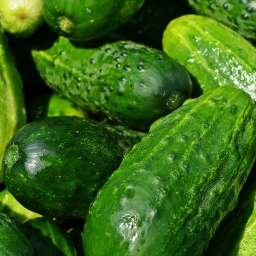 Skladujte potraviny tak, aby vydržely co nejdéle čerstvé!