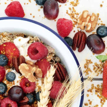 Vláknina a její účinky na lidský organismus: proč se vyplatí její pravidelný příjem?