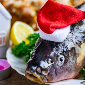 Nezřízené vánoční hodování zadělává na kila navíc i nebezpečný cholesterol