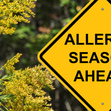 Jaro klepe na dveře, připravte se na každoroční boj s alergií