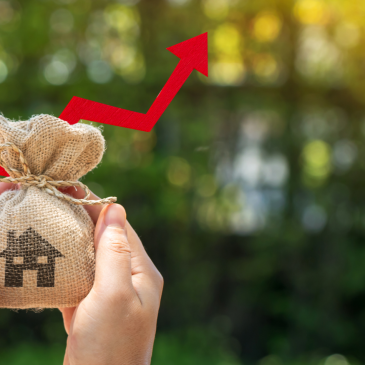 Vytěžte ze své nemovitosti maximum díky krátkodobému pronájmu. Jak na to?