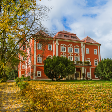 Unikněte sychravému počasí a užijte si originální program v Dětenicích