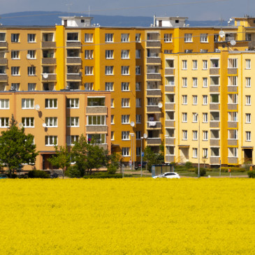 Ceny nemovitostí, práce nebo občanská vybavenost. Co je pro Čechy nejdůležitější?