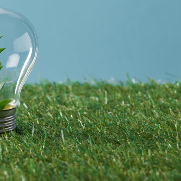 Zelená energie získává na popularitě, i kvůli vysokým cenám za plyn a elektřinu