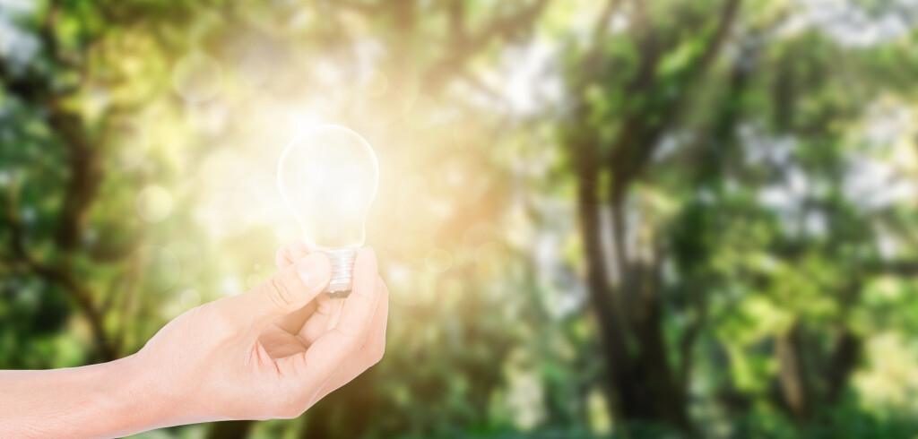 Light bulb concept Save energy with nature